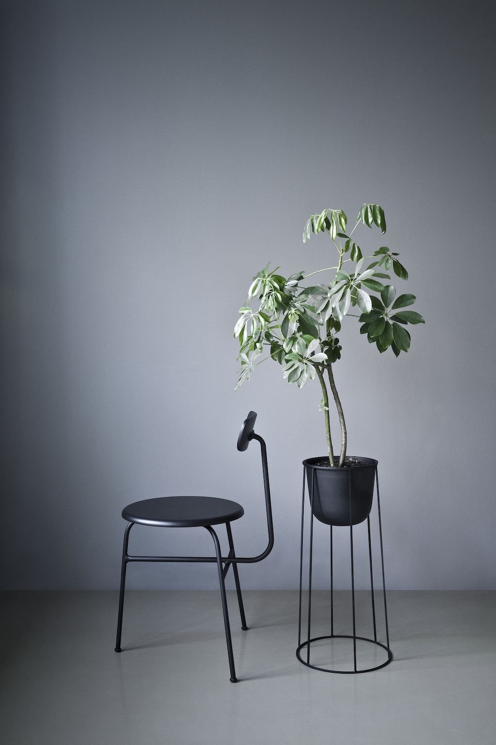Wire Pot Location 2015 04