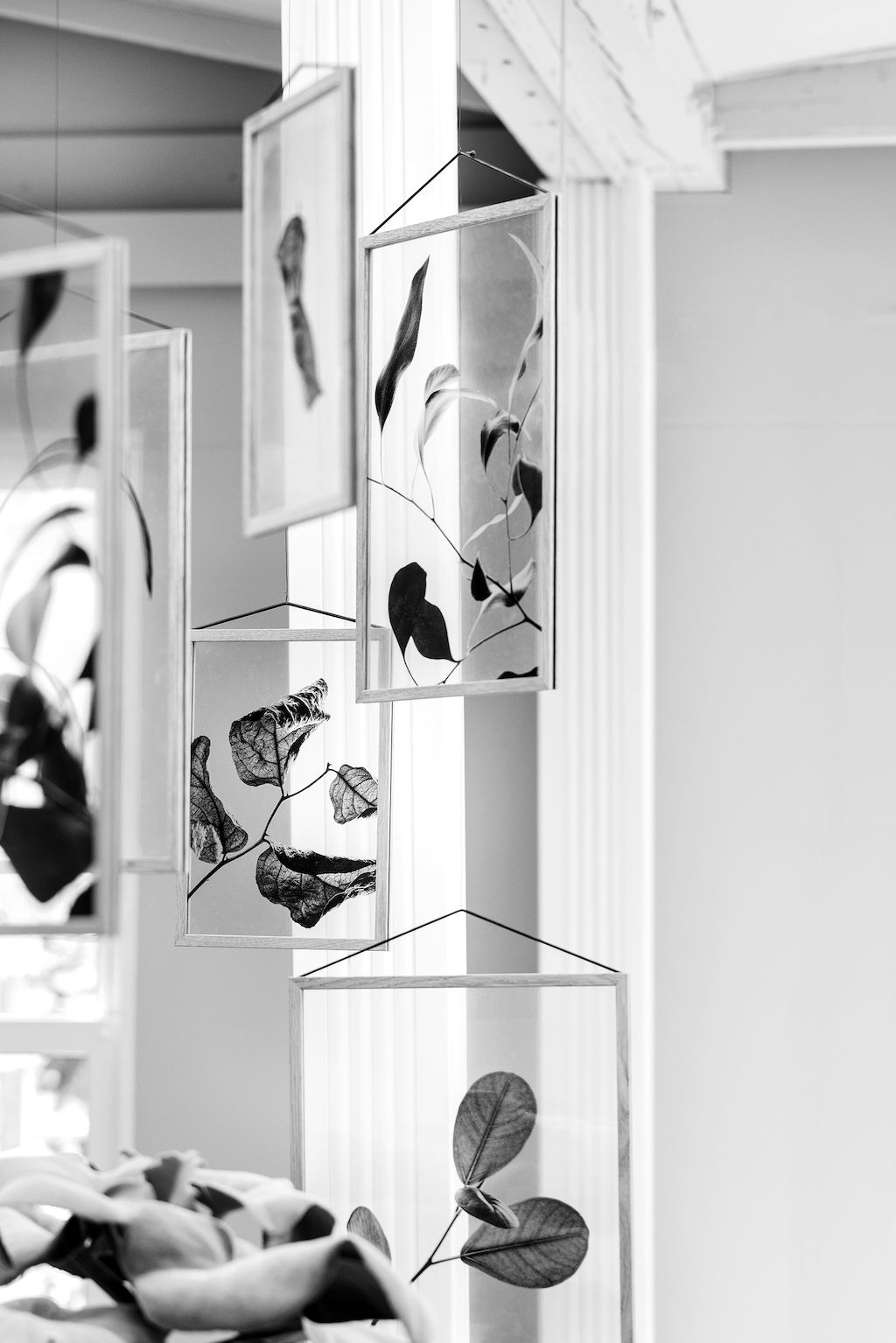 Moebe Floating Leaves Ic04